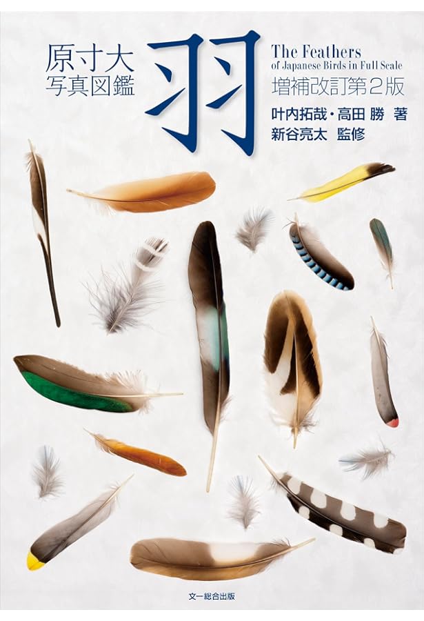 日本の野鳥羽根図鑑 改訂新版 | 笹川 昭雄 |本 | 通販 | Amazon